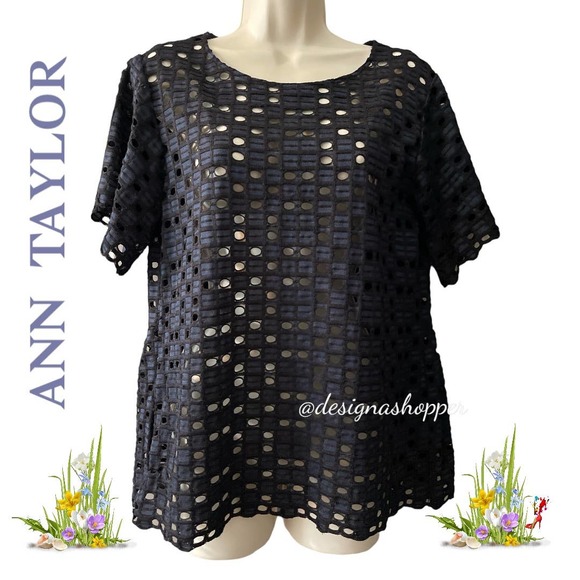 Ann Taylor Tops - Ann Taylor Blue and Black Overlay Top - Size Small